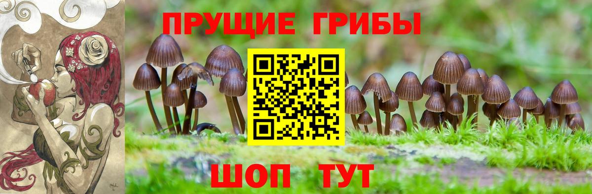 Псилоцибиновые грибы мухоморы  Вход с VPN  Муром 